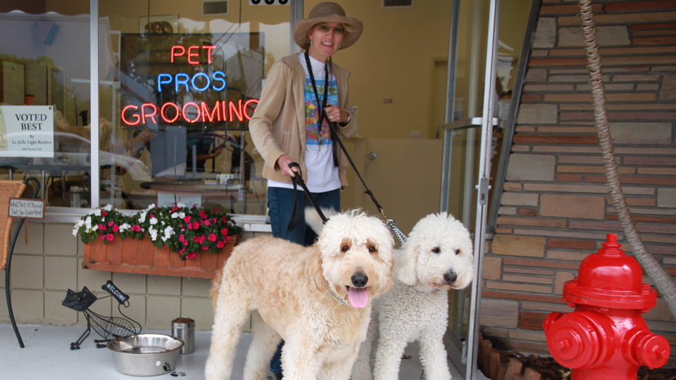 AAA Pet Pros Grooming